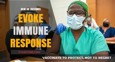 Unveiling the Science: How Vaccines Trigger Immune System Defense