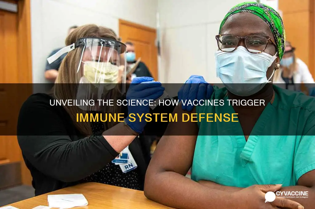 how do vaccines evoke immune response