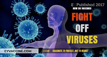 How Vaccines Train Your Immune System to Defeat Viruses