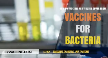 Virus vs. Bacteria Vaccines: Key Differences in Development and Function