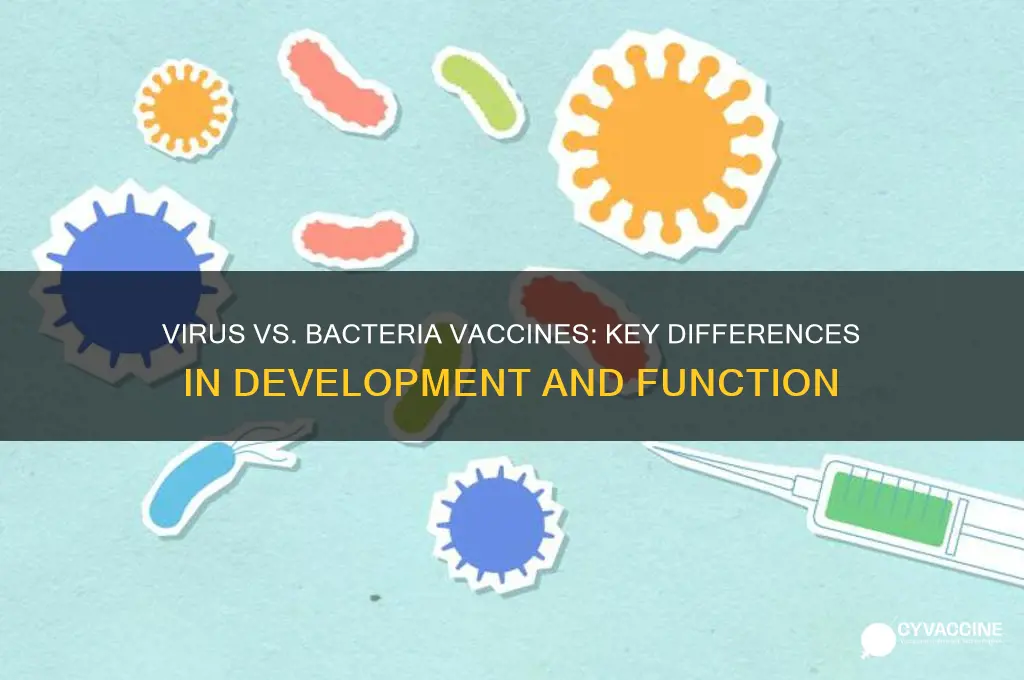 how do vaccines for viruses differ from vaccines for bacteria