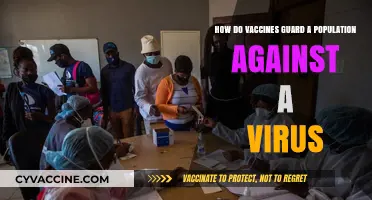 Vaccines: Population Shields Against Viral Threats and How They Work