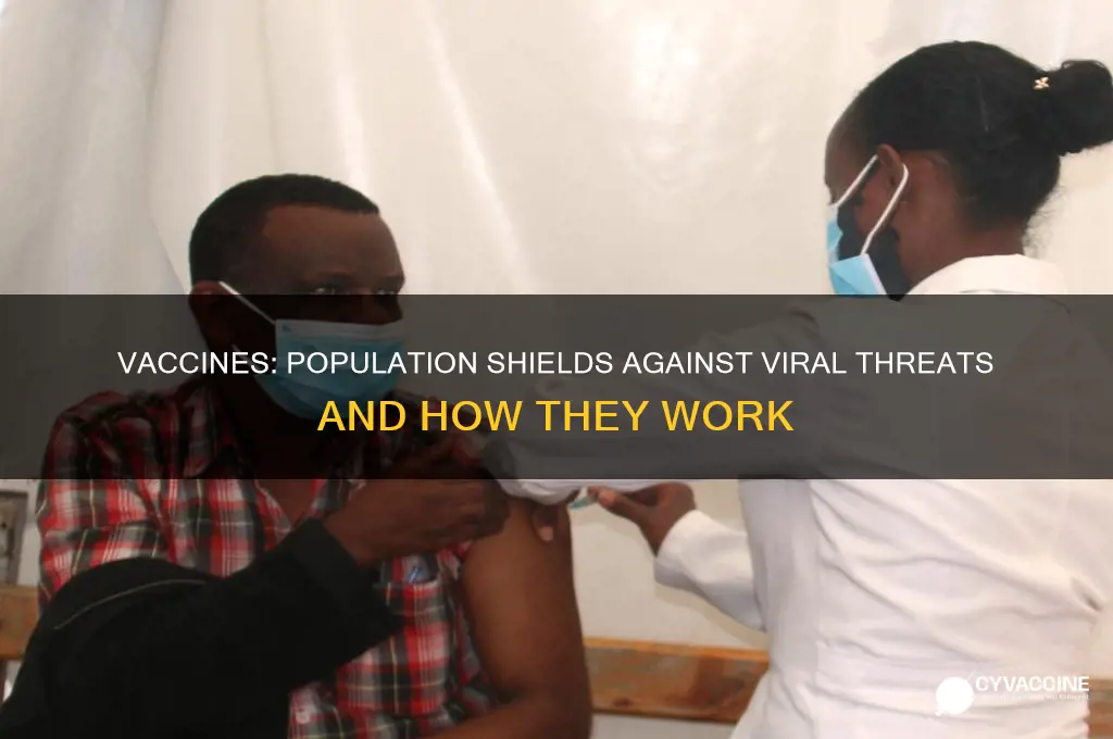 how do vaccines guard a population against a virus
