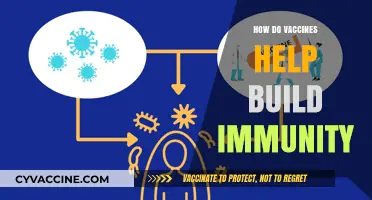 Vaccines: Unlocking the Power to Build Lasting Immunity Safely