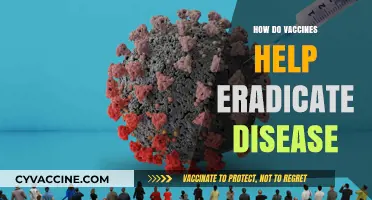 Vaccines: The Powerful Tool to Eradicate Diseases and Save Lives