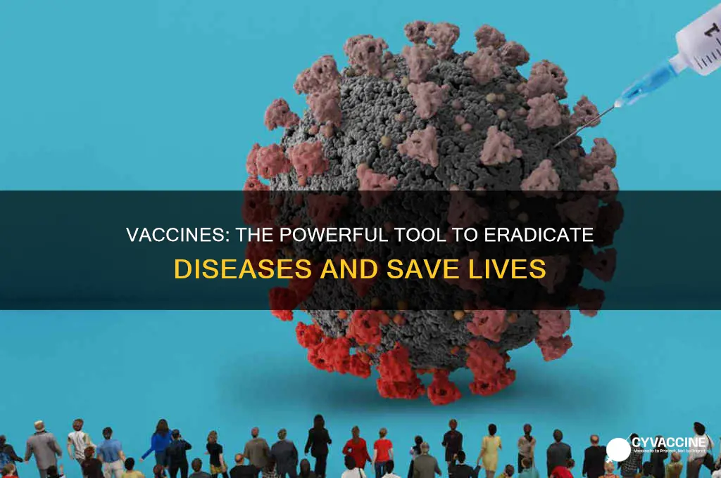 how do vaccines help eradicate disease