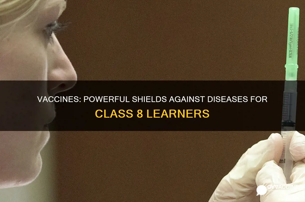 how do vaccines help in preventing diseases class 8