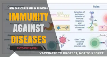 Understanding Vaccines: How They Boost Immunity and Prevent Diseases