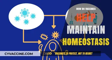 Vaccines and Homeostasis: Balancing Immunity for Optimal Health