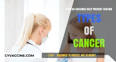 Vaccines and Cancer Prevention: How Immunizations Fight Certain Cancers