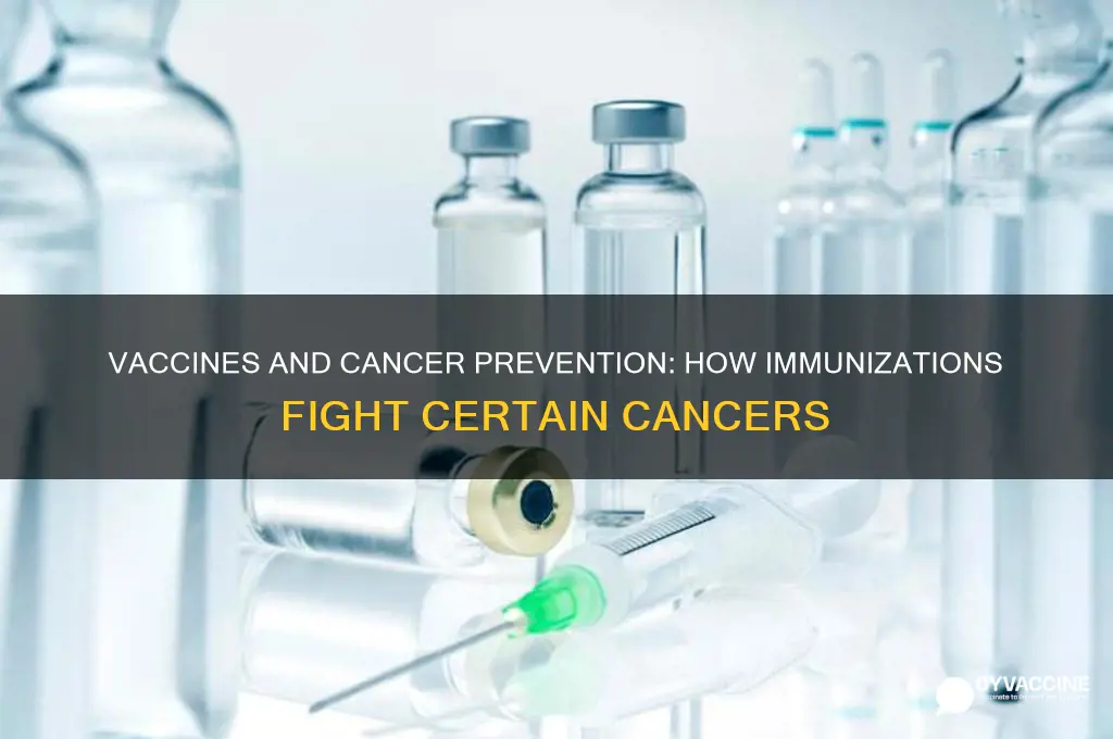 how do vaccines help prevent certain types of cancer