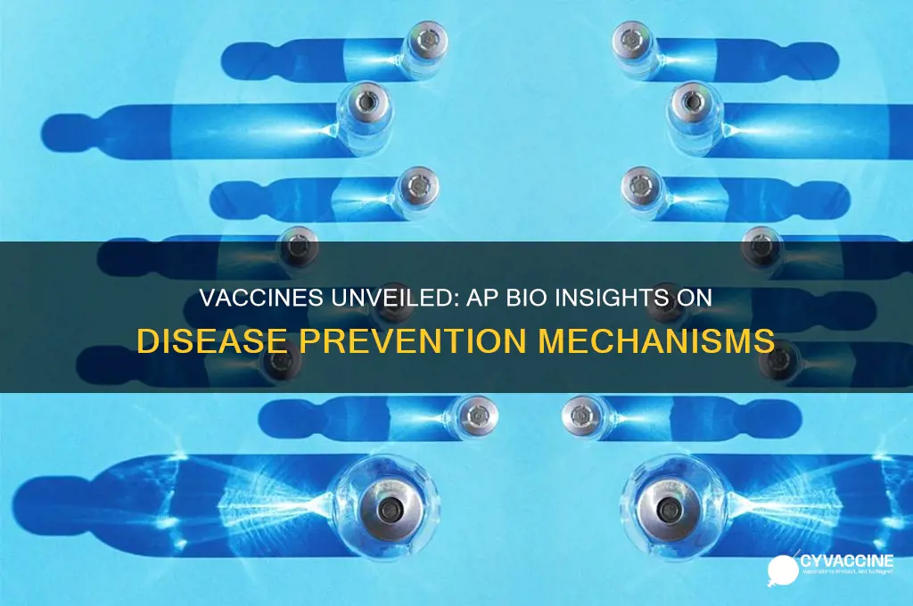 how do vaccines help prevent disease ap bio