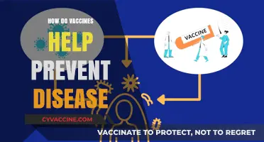 Understanding Vaccines: How They Strengthen Immunity and Prevent Diseases