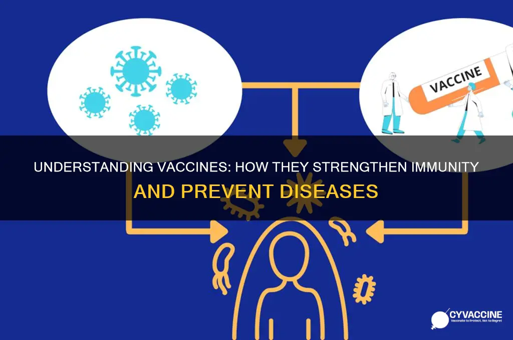how do vaccines help prevent disease