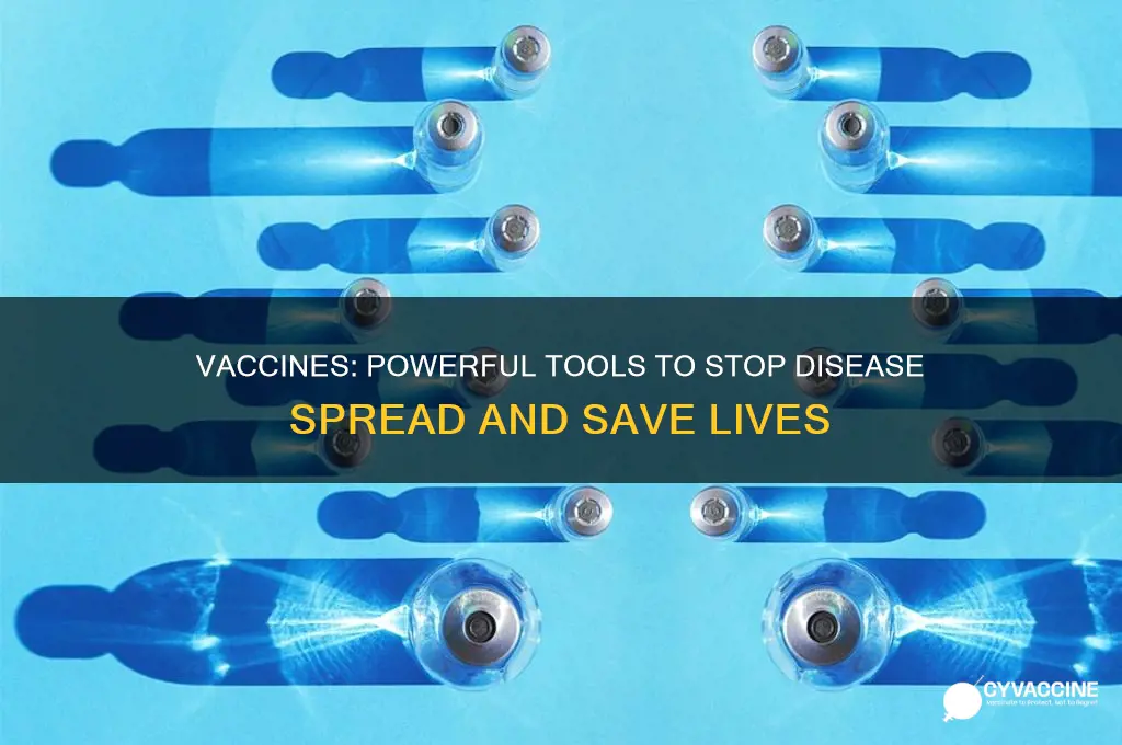 how do vaccines help prevent spread of disease