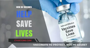 Vaccines: The Lifesaving Shield Against Deadly Diseases and Infections