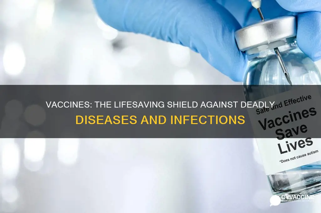 how do vaccines help save lives