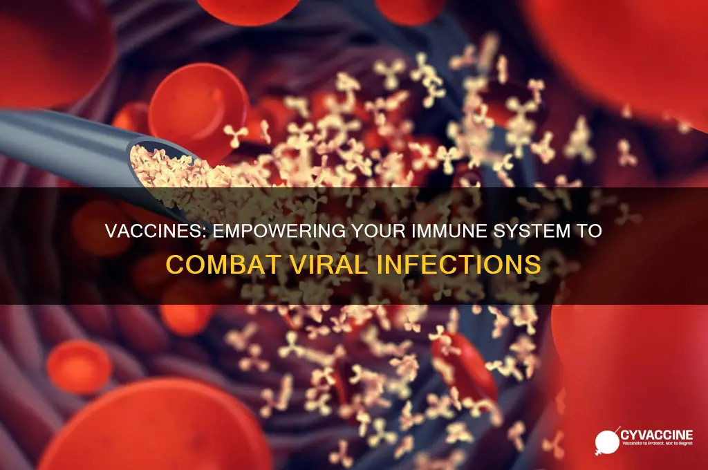 how do vaccines help the body fight against viruses