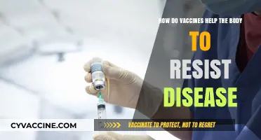 Vaccines: Empowering Your Immune System to Fight Off Diseases