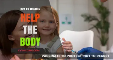 How Vaccines Strengthen Immunity and Protect Against Diseases