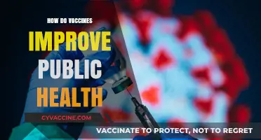 Vaccines: Empowering Public Health Through Prevention and Community Immunity
