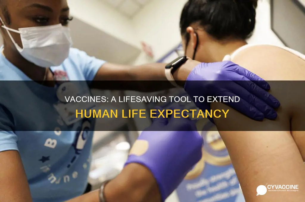 how do vaccines increase life expectancy