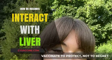 Vaccines and Liver Health: Understanding Their Complex Interaction
