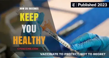Vaccines: Your Powerful Shield Against Diseases and Optimal Health