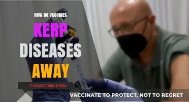 How Vaccines Shield Us: Preventing Diseases and Saving Lives