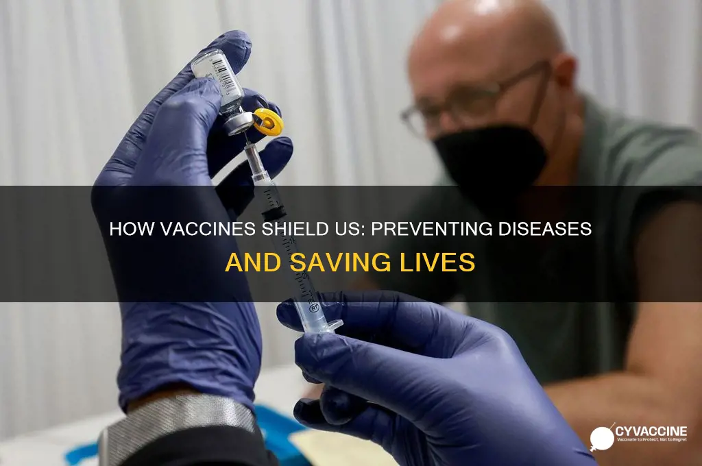 how do vaccines kerp diseases away