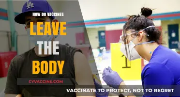 Understanding Vaccine Elimination: How the Body Processes and Removes Vaccines