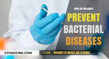 Understanding Vaccines: How They Shield Against Bacterial Infections Effectively