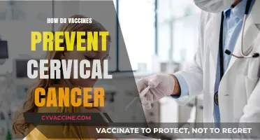 Understanding Vaccines: How They Effectively Prevent Cervical Cancer