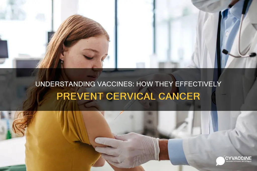 how do vaccines prevent cervical cancer