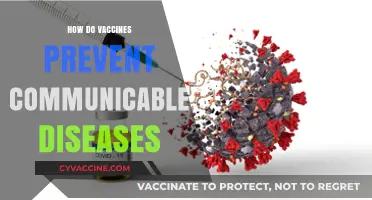 Understanding Vaccines: How They Shield Against Communicable Diseases
