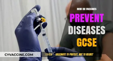 Understanding Vaccines: How They Prevent Diseases at GCSE Level