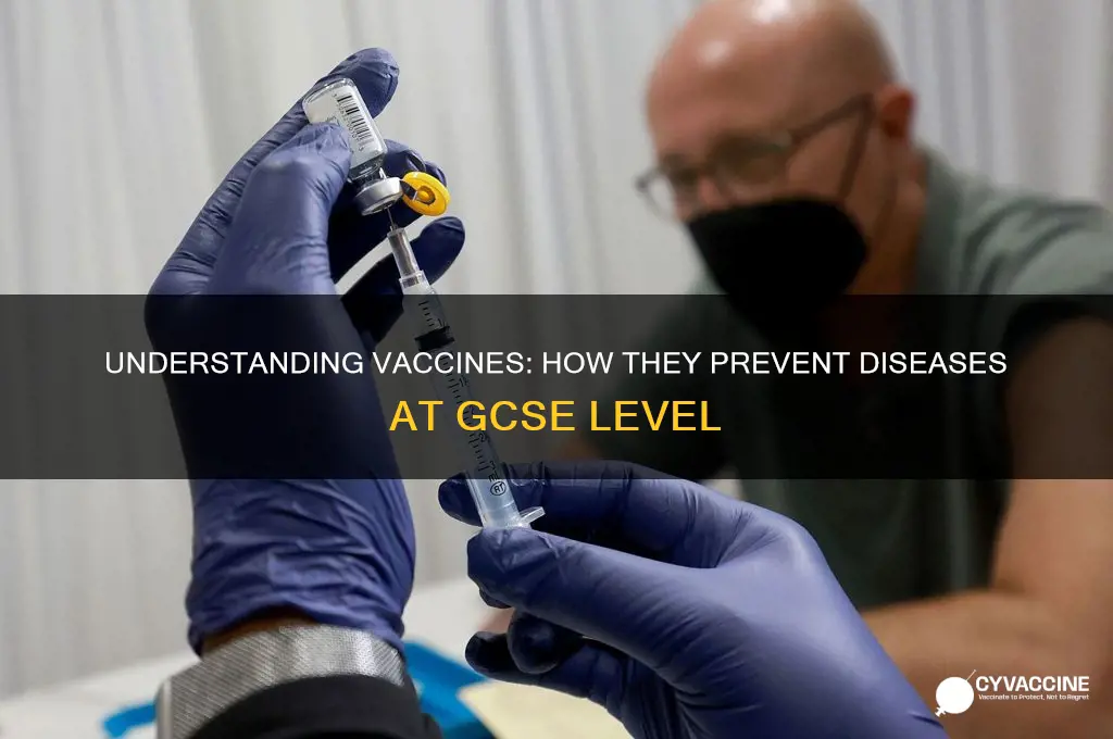 how do vaccines prevent diseases gcse