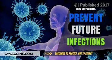 Understanding Vaccines: How They Train Your Immune System to Fight Infections