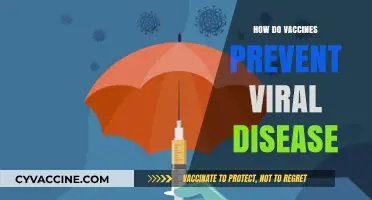 Understanding Vaccines: How They Shield Against Viral Infections Effectively