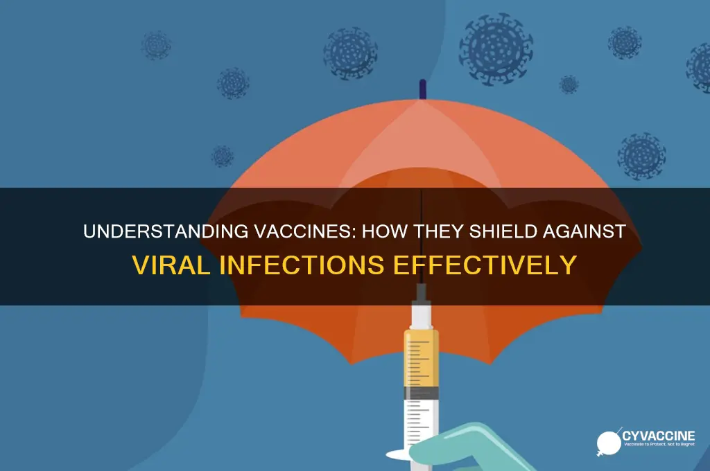 how do vaccines prevent viral disease