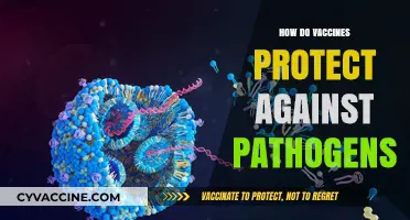 Understanding Vaccines: How They Shield Us from Harmful Pathogens