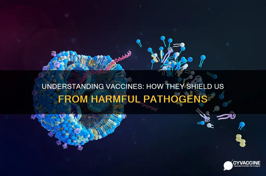 how do vaccines protect against pathogens