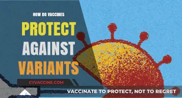 Vaccines and Variants: How Immunization Shields Against Evolving Strains