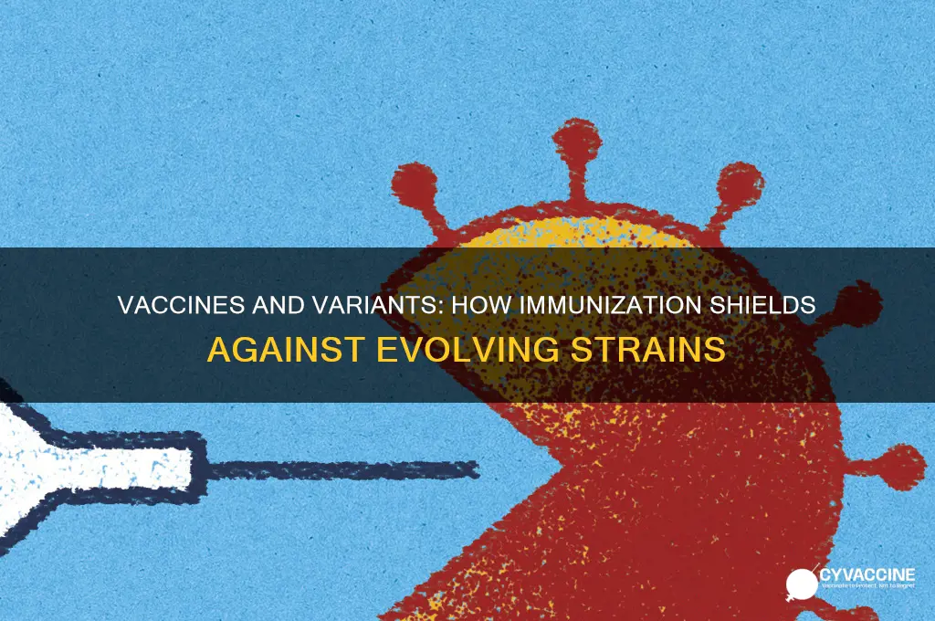 how do vaccines protect against variants