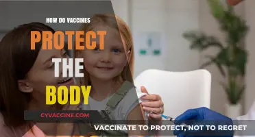 Understanding Vaccines: How They Shield Your Body from Diseases