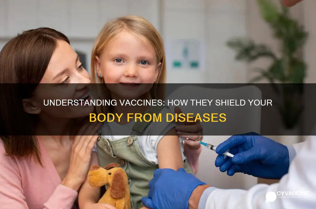 how do vaccines protect the body