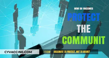 Vaccines: Safeguarding Communities Through Herd Immunity and Disease Prevention