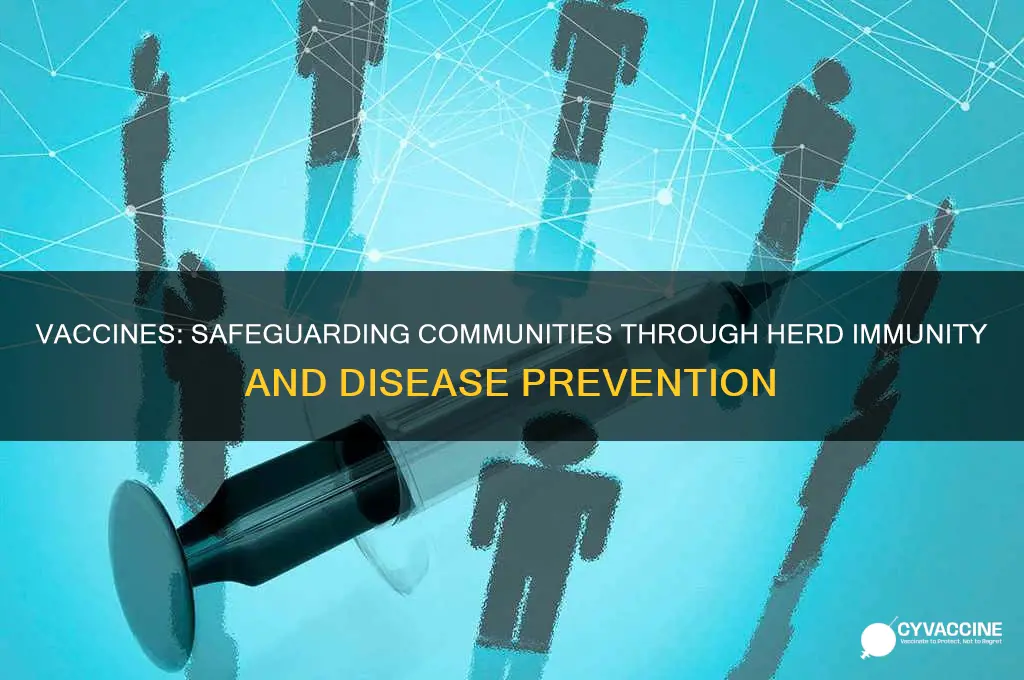 how do vaccines protect the community