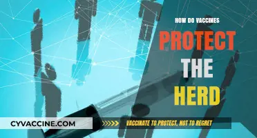 Vaccines and Herd Immunity: Safeguarding Communities Through Collective Protection