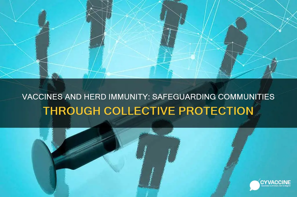 how do vaccines protect the herd